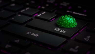 webcord virus
