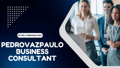 pedrovazpaulo business consultant​