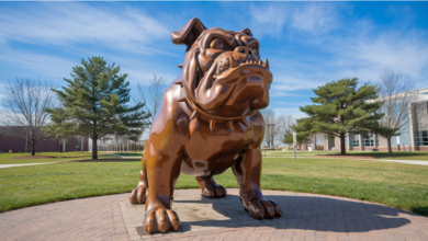 bowie state university bulldog statue