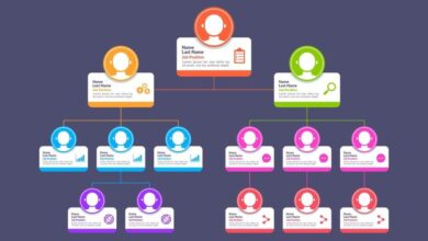 Organizational Structure