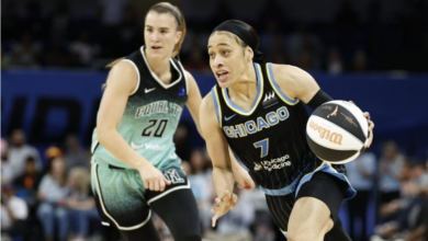 Atlanta Dream Vs Chicago Sky Match Player Stats​