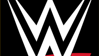 what does wwe stand for